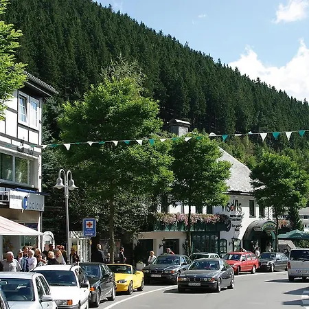 Aparthotel Haus Christel Willingen (Upland)