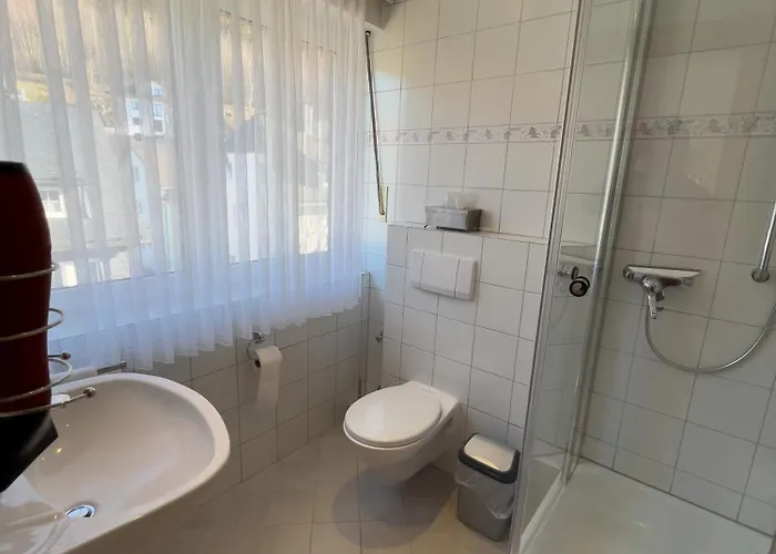 Aparthotel Haus Christel Willingen (Upland)