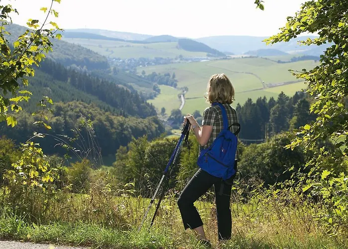 Aparthotel Haus Christel Willingen (Upland)